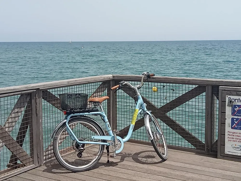Vente vélo à Leucate