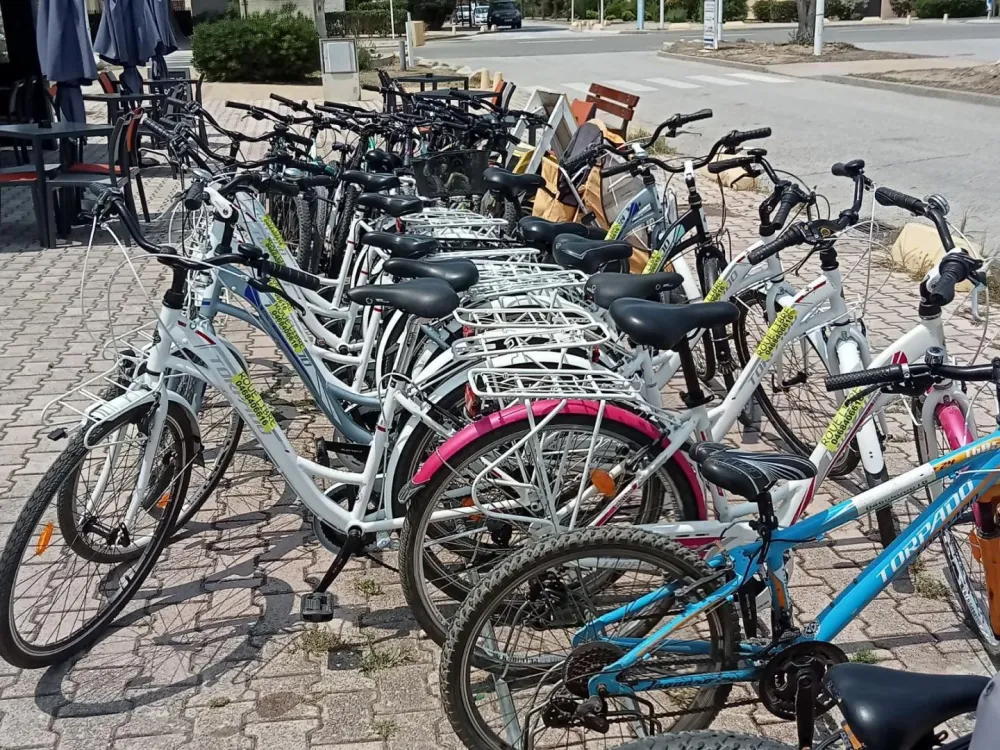 Location vélos